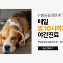 뉴본동물의료센터 이미지