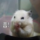 아이케이크유(I CAKE YOU)