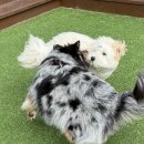 헬로우버디 이미지