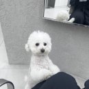 유니컬
