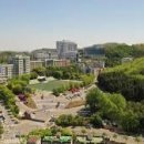 최루백로 이미지