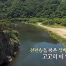 용담오토 이미지