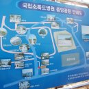 소록도중앙공원 티스토리