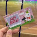 부산광역시 기장군청 차성아트홀 | [부산] 뮤지컬 라푼젤 공연 20개월 아기 관람 후기 ✨