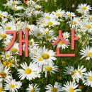 토요 광교산행(2024년11월23 오전9시30분 신분당선 성복역지하 이미지