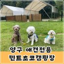 오성목욕탕 | 강원도 애견전용 민트초코캠핑장 재방문 후기(타프존, 개별울타리, 개별화장실)