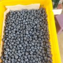 왕눈이농장 이미지