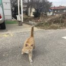 드론(무인멀티콥터3종) 국가자격증과정 이미지