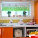 숲속의 예쁜별 이미지