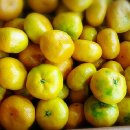 오부자청과 이미지