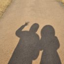 강구회실비타운 이미지