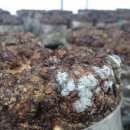 산여울농장 이미지