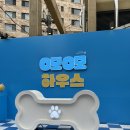 반려견 팝업스토어 ”오모오모 하우스, 슬개골 클래스“ 솔직 후기