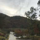 석모도수목원 관리사무소 이미지