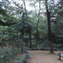 황금내근린공원 이미지