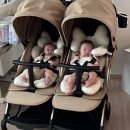지니2 | 쌍둥이 유모차 와이업 지니트윈2 후기