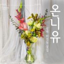 평택 꽃집 비전동 꽃바구니 꽃다발 전문 온니유플라워