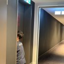 할레김 | [유럽/독일🇩🇪] 프랑크푸르트 Day2. 유로타워,괴테생가,뢰머광장,클라인마크트할레 시장, 아이젤너 다리