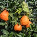 더스페셜 태권도장 이미지