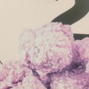 도그파파안 이미지