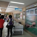 영월동강한우타운 이미지