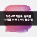 대구보조기 | 척추보조기종류, 올바른 선택을 위한 5가지 필수 팁