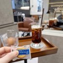 트리미용실 | 분당 판교 미용실 추천 순수 더블트리 바이 힐튼 판교점 염색 후기