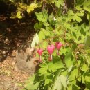 구마황토민박 이미지