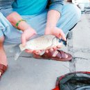 신천자연 낚시터 이미지