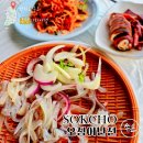 속초시청 | 속초 동명항 오징어난전 가기 전 필독! 오징어회 시간 주차 추천 메뉴 정리