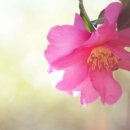 직업상담사 필기 - 노동시장론 이미지