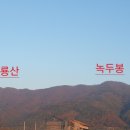 대룡산주유소 이미지