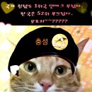 양정옷수선