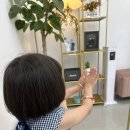 송우리 사진관 증명사진 여권사진 아름다운사진관 후기