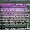 은하제일농장 이미지