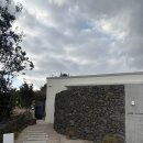 꽃향기펜션 | 제주 동쪽 독채 펜션, 구좌읍 송당리 제주도록스테이 자쿠지 감성숙소 내돈내산 후기