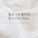 플로니플라워
