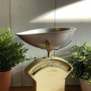 솔터로-L 이미지