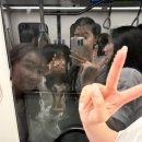 애드넷 | 6월 코타키나발루 패키지 자유여행 3박 5일 여행 후기 (1)