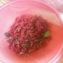 우리농장 이미지