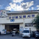 안양 농수산물 도매시장 활어회 포장 맛집 신안수산 방문 포장 후기