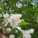 류인석 선생 묘역 이미지