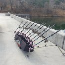 장어여행 이미지