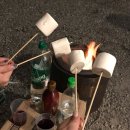 김향희 | 🏕️ 글램핑 다녀왔어요