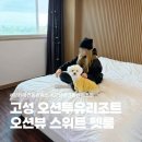 지에스펫 | 속초 고성 오션투유리조트 파노라마 오션뷰 스위트 펫룸 강원 애견동반숙소 숙박 후기 : )