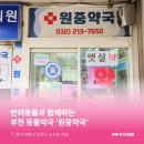 원중약국 이미지