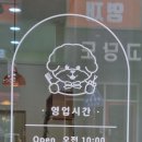 올데이독 이미지