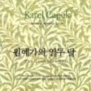 카렐차페크 네이버블로그