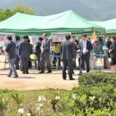 사포초등학교 이미지