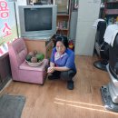 선산이용소 이미지